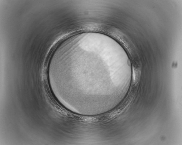 X0000098170579200805221517