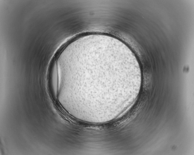 X0000098170580200805221517