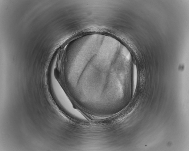 X0000098170581200805221517