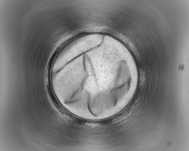 X0000098170582200805221517