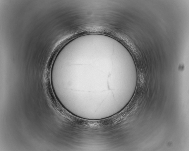 X0000098170583200805221517