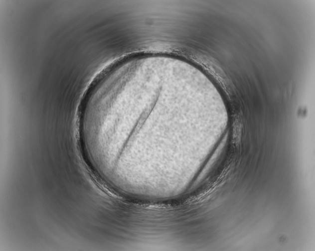 X0000098170584200805221517