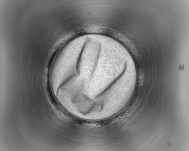 X0000098170586200805221517