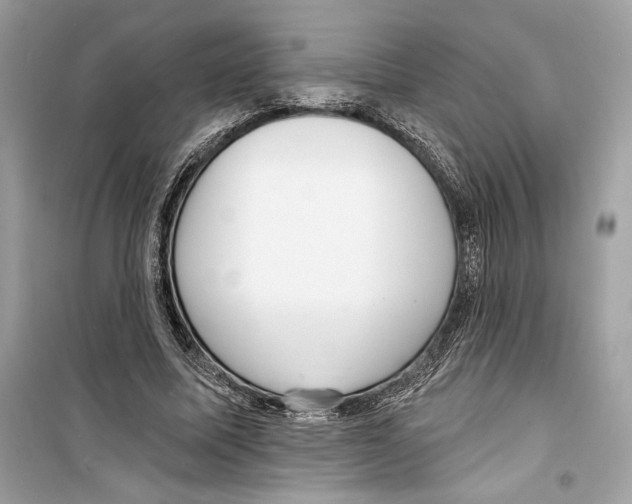 X0000098170587200805221517