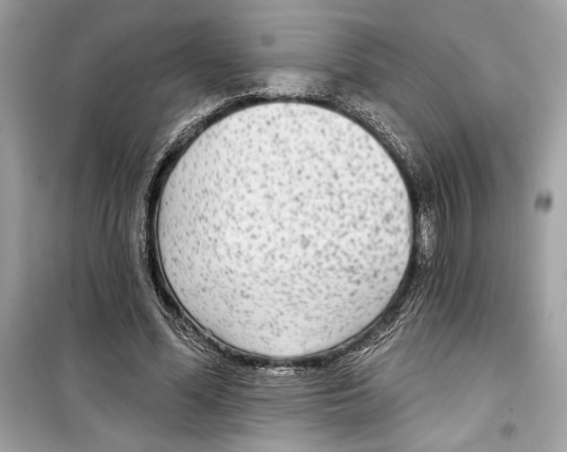 X0000098170588200805221517