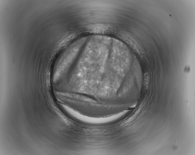 X0000098170589200805221517