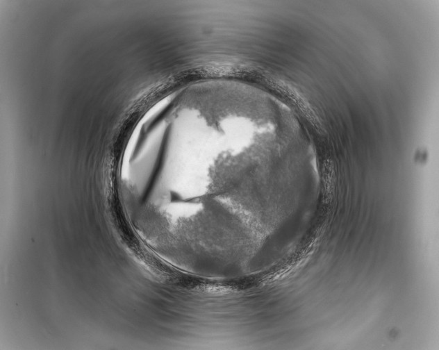 X0000098170590200805221517