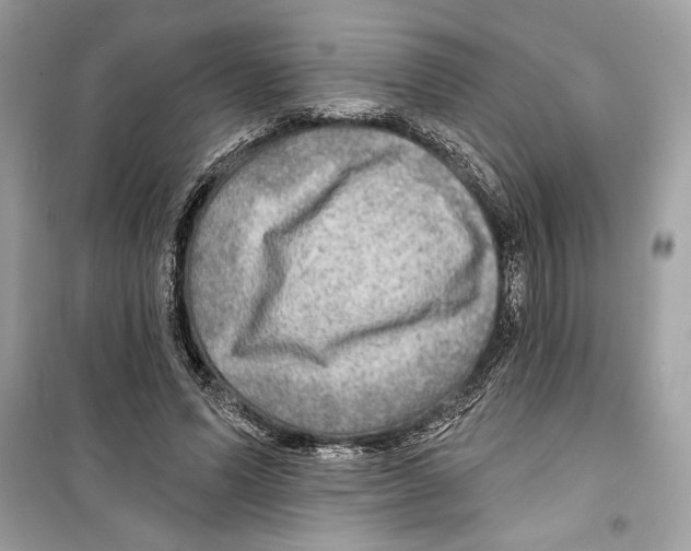 X0000098170591200805221517