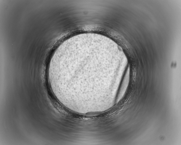 X0000098170592200805221517