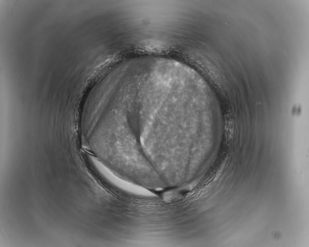 X0000098170593200805221517