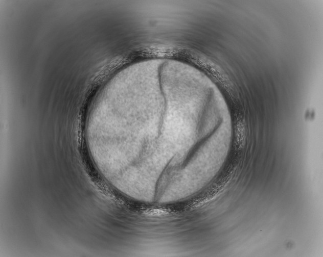 X0000098170594200805221517