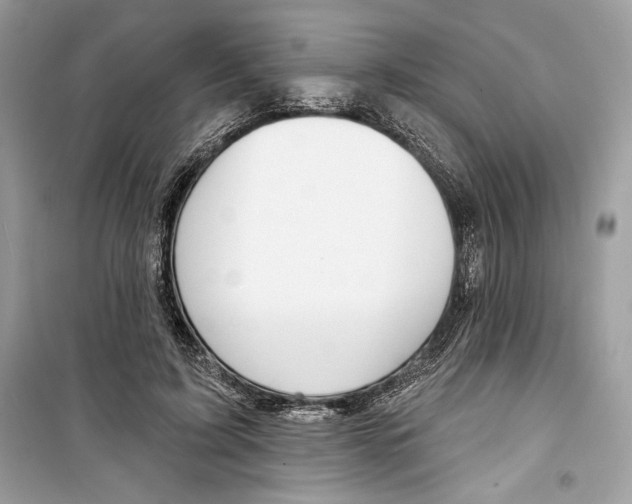 X0000098170595200805221517