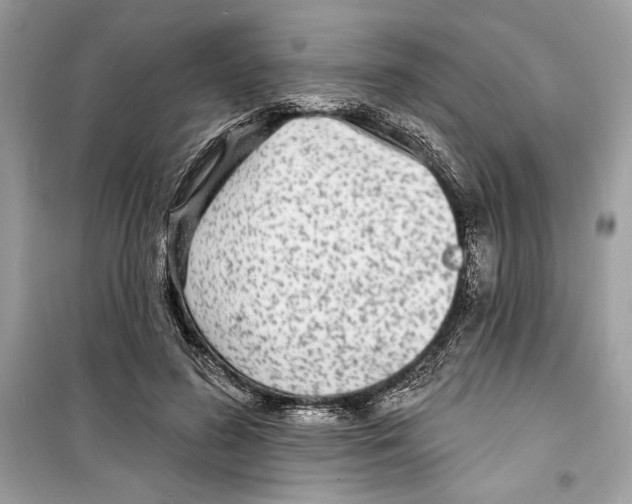 X0000098170596200805221517