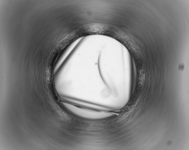 X0000098170597200805221517