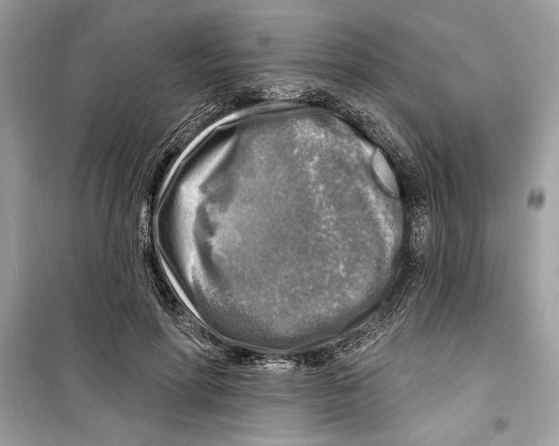 X0000098170598200805221517