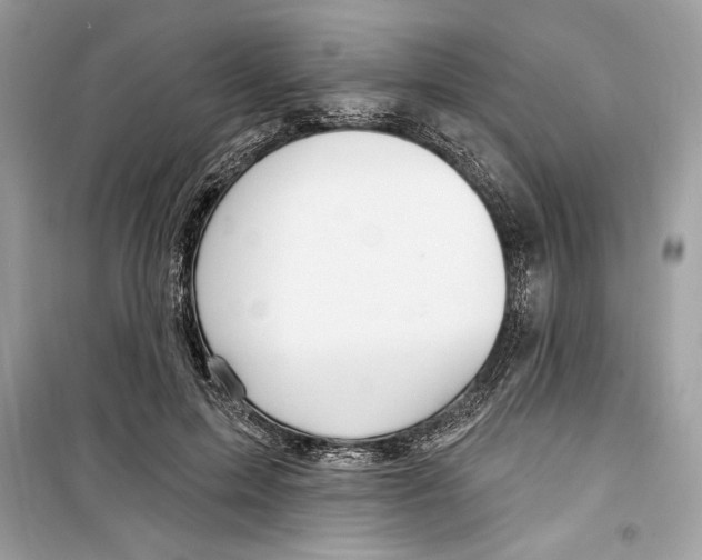 X0000098170599200805221517