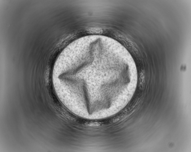 X0000098170600200805221517