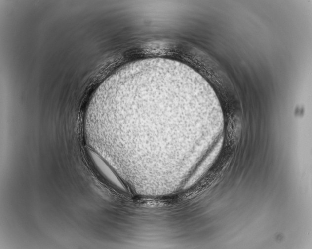 X0000098170601200805221517