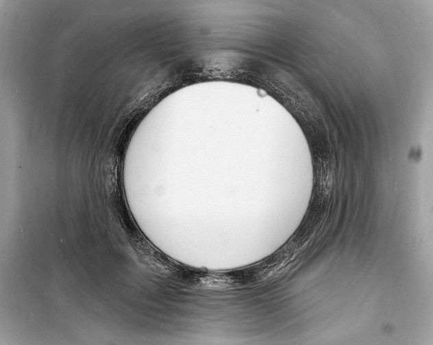 X0000098170603200805221517