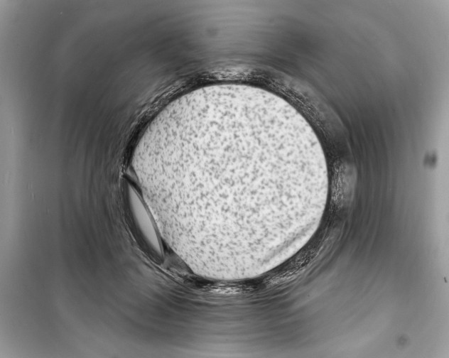 X0000098170604200805221517