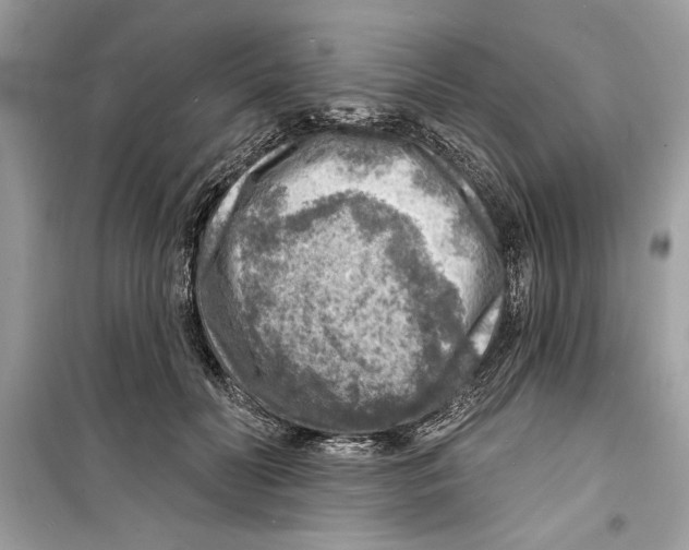 X0000098170606200805221517