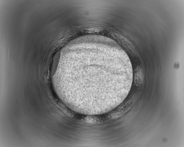 X0000098170608200805221516