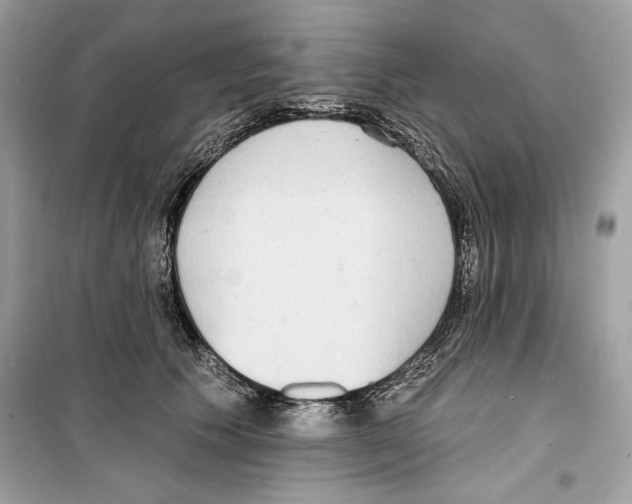 X0000098170609200805221516