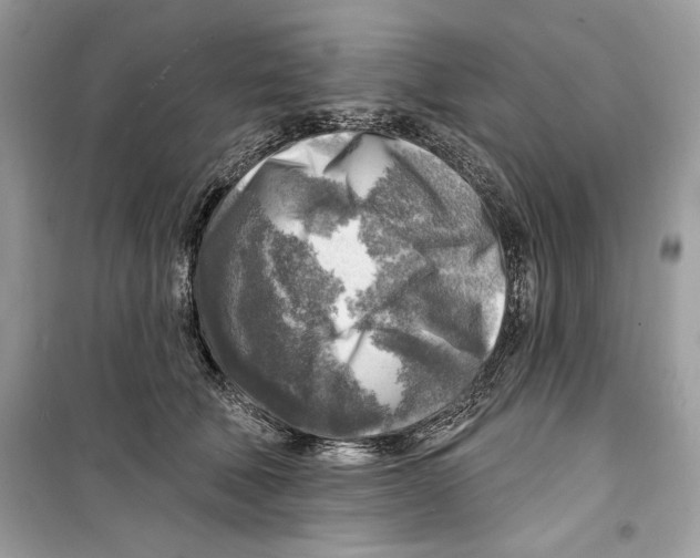 X0000098170610200805221516