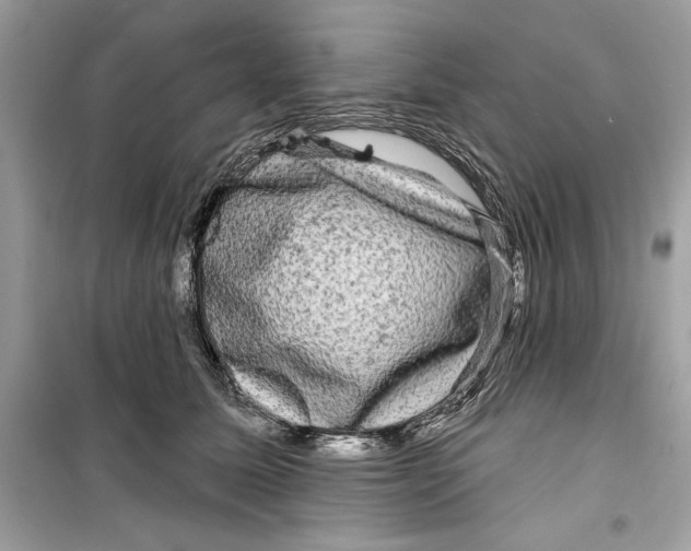 X0000098170611200805221516