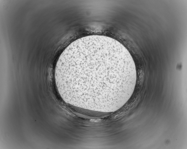 X0000098170612200805221516