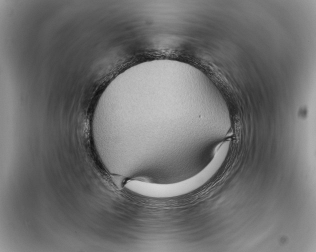 X0000098170613200805221516