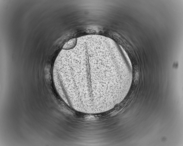 X0000098170616200805221516