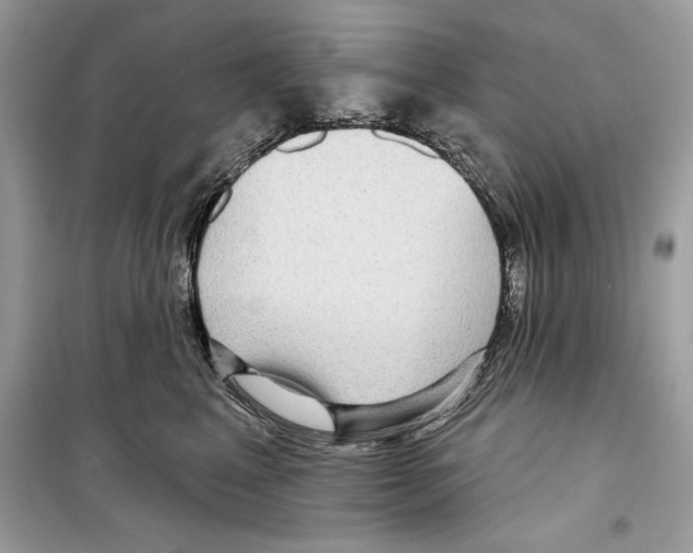 X0000098170617200805221516