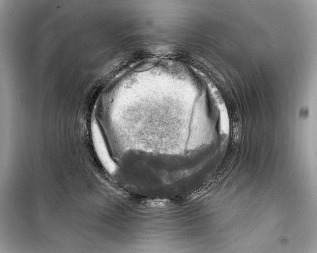 X0000098170618200805221516