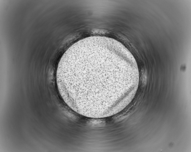 X0000098170619200805221516