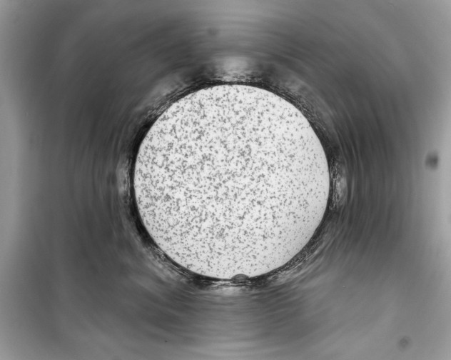 X0000098170620200805221516