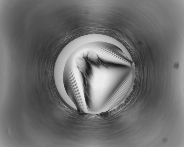 X0000098170621200805221516