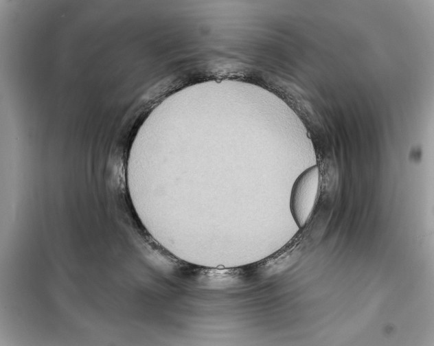 X0000098170622200805221516