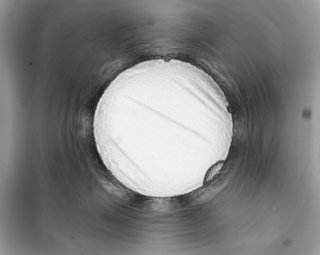 X0000098170623200805221516