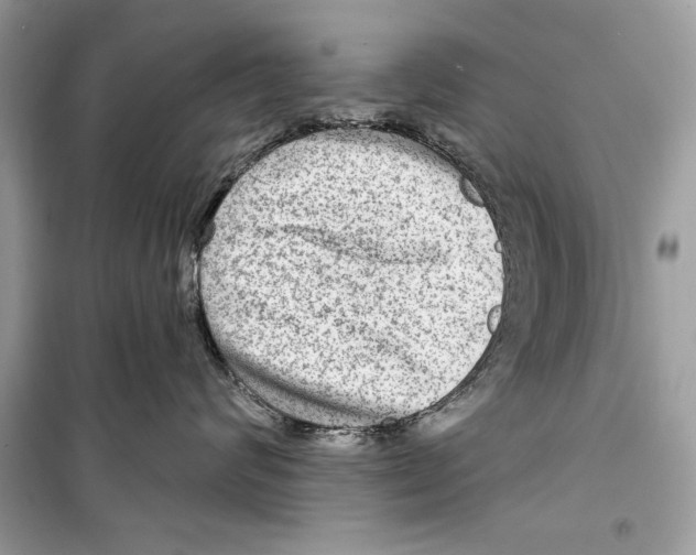 X0000098170624200805221516