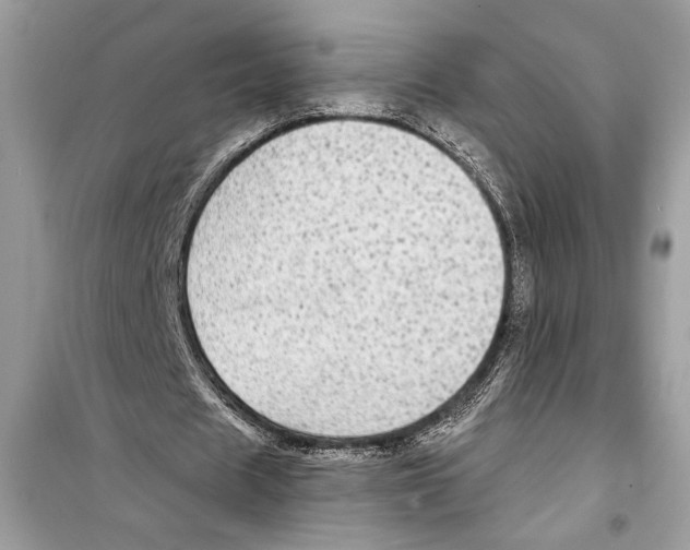 X0000098170625200805221516