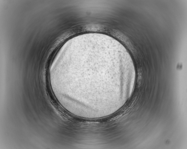 X0000098170626200805221516