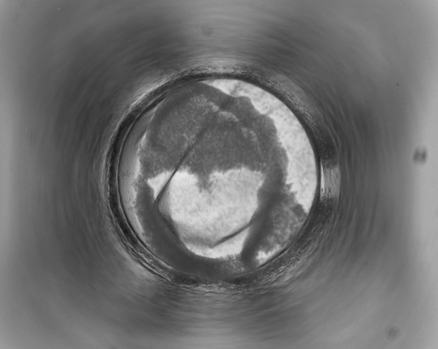 X0000098170627200805221516