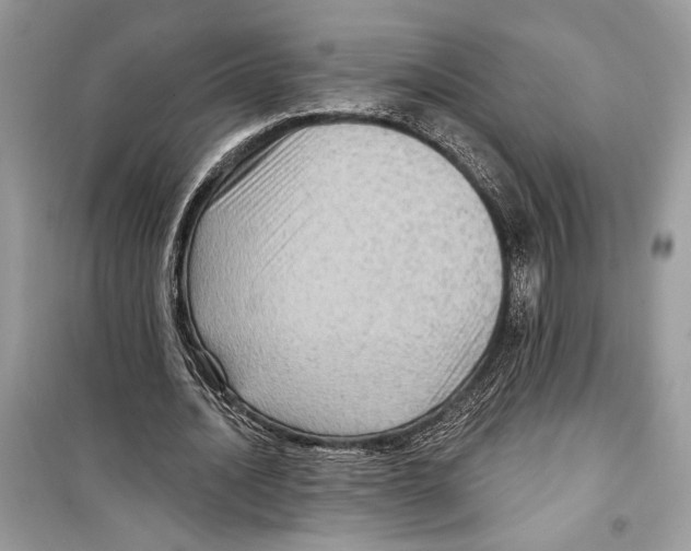 X0000098170628200805221516