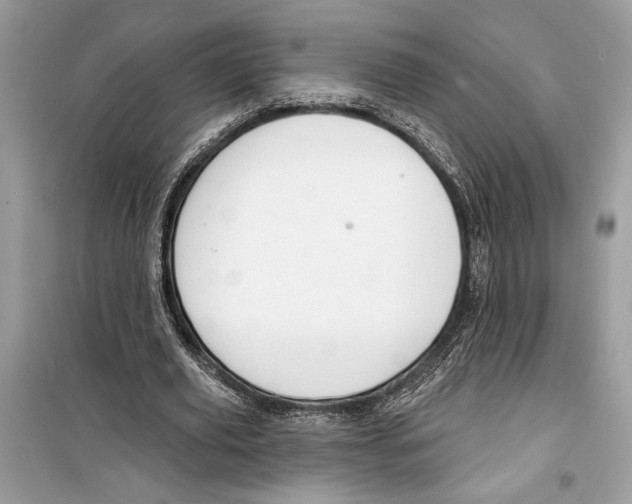 X0000098170629200805221516