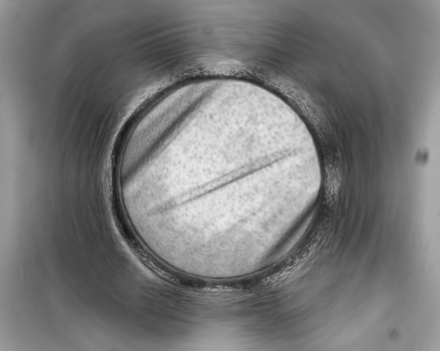 X0000098170630200805221516