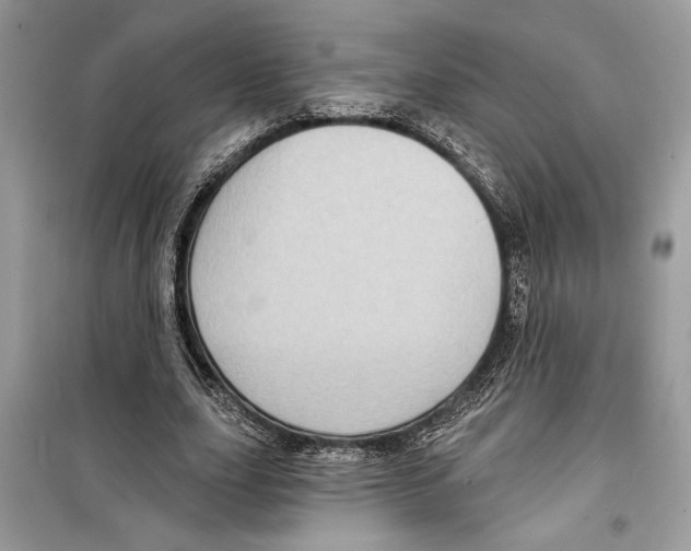 X0000098170631200805221516