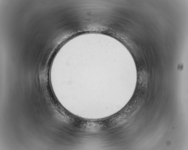 X0000098170632200805221516