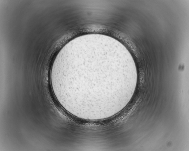 X0000098170633200805221516