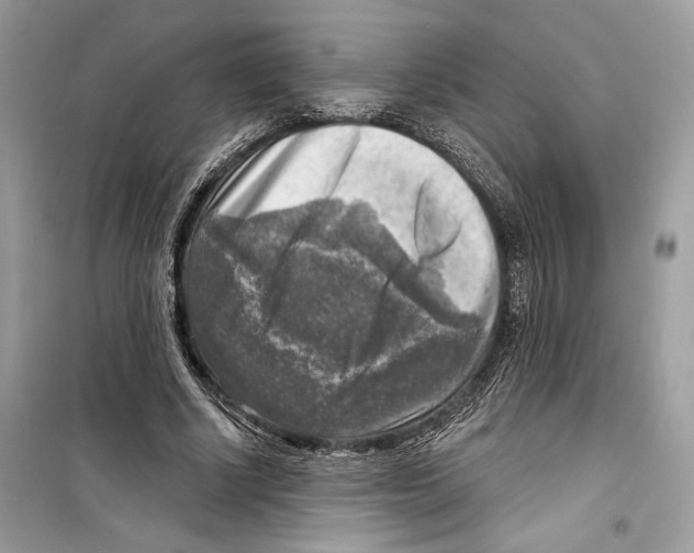 X0000098170634200805221516